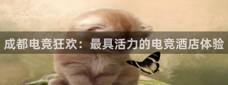 南宫电竞：成都电竞狂欢：最具活力的电竞酒店体验