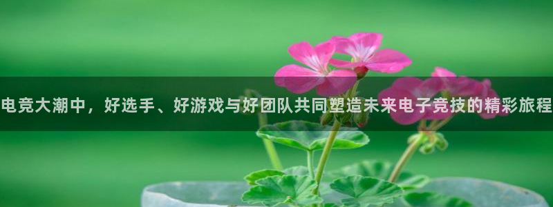 南宫电竞：电竞大潮中，好选手、好游戏与好团队共同塑造未来电子竞技的精彩旅程