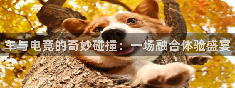 南宫电竞登陆：车与电竞的奇妙碰撞：一场融合体验盛宴