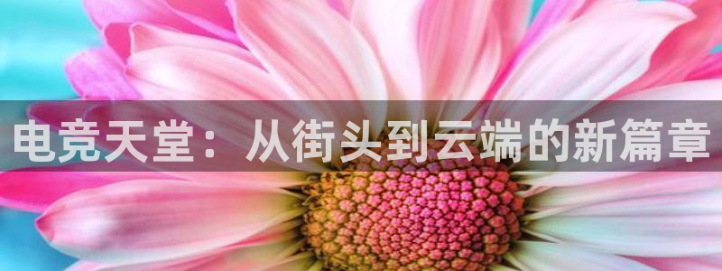南宫电竞登陆：电竞天堂：从街头到云端的新篇章