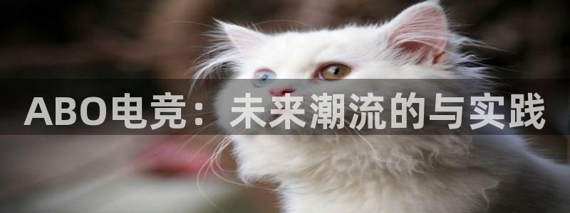 南宫电竞app：ABO电竞：未来潮流的与实践