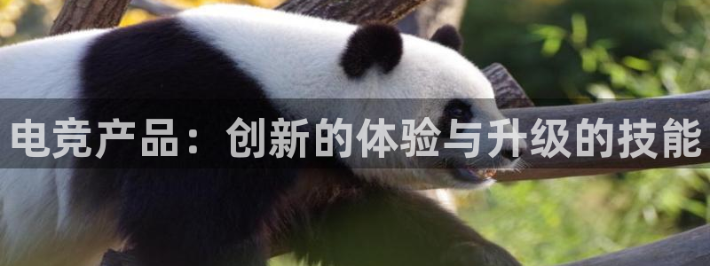 南宫电竞