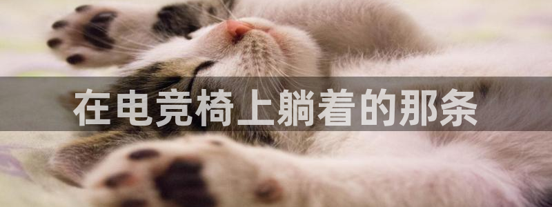 南宫电竞app