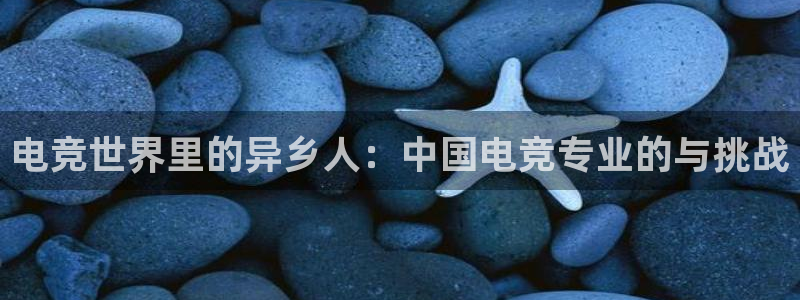 南宫电竞官网：电竞世界里的异乡人：中国电竞专业的与挑战