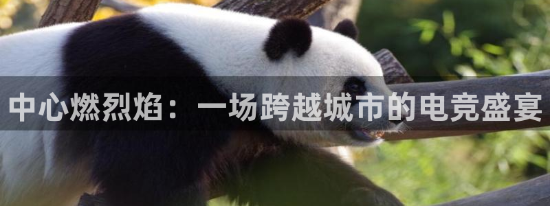 南宫电竞贴吧：中心燃烈焰：一场跨越城市的电竞盛宴