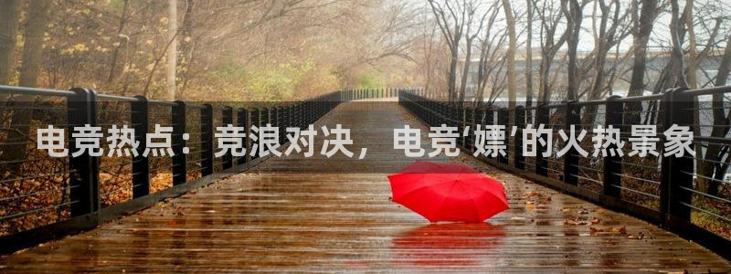 南宫电竞app：电竞热点：竞浪对决，电竞‘嫖’的火热景象