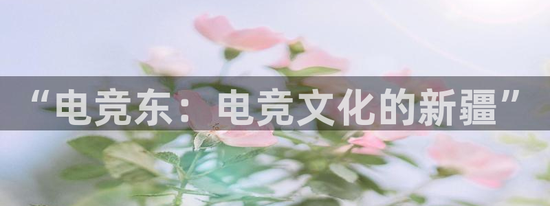 南宫电竞官网：“电竞东：电竞文化的新疆”