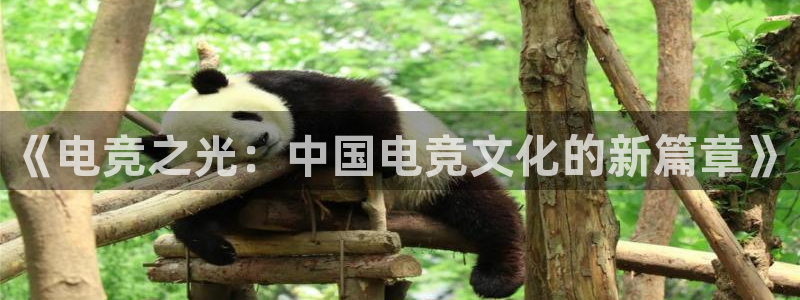 南宫电竞：《电竞之光：中国电竞文化的新篇章》